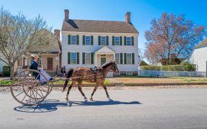 person riding horse and carriage 