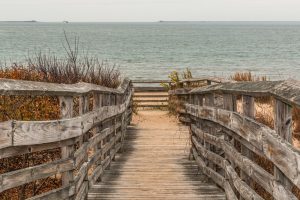 pathway to beach at first landing state park in virginia beach va